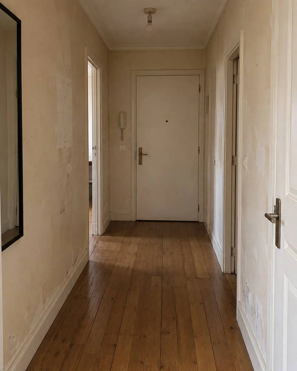 Entrée — vue sur la porte palière avant les travaux