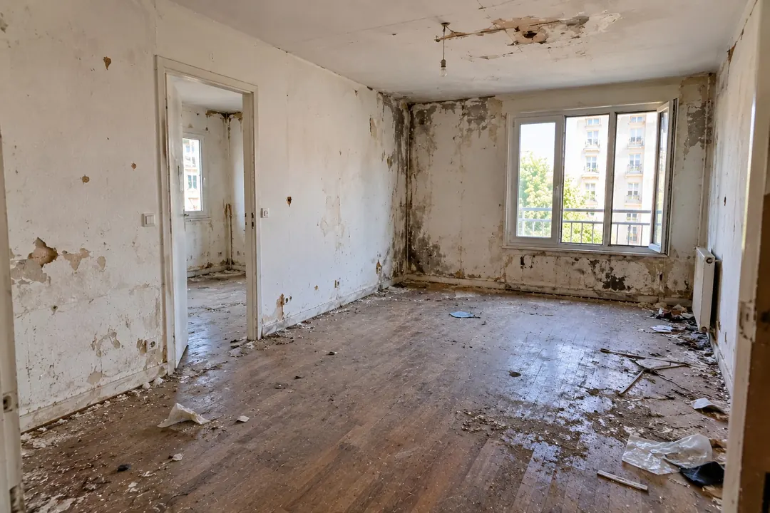 Séjour d'un logement avant remise en état : murs et plafond dégradés par l'humidité, parquet abîmé, gravats et déchets au sol